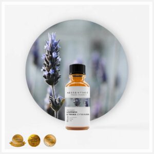 51b0ac9f490fedd0159a544666034ee6