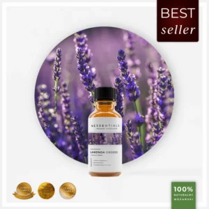 42af48bb915a2c5c6445adbe8f2cd163